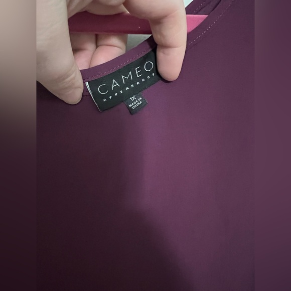 Cameo Semi Sheer Blouse with keyhole back and three quarter inch sleeves - Picture 2 of 4